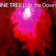 Der musikalische text UP THE DOWNSTAIR von PORCUPINE TREE ist auch in dem Album vorhanden Up the downstairs (1993)