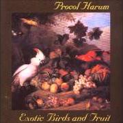Der musikalische text NEW LAMPS FOR OLD von PROCOL HARUM ist auch in dem Album vorhanden Exotic birds and fruit (1974)