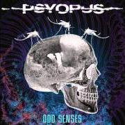 Der musikalische text THE BURNING HALO von PSYOPUS ist auch in dem Album vorhanden Odd senses (2009)