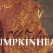 Der musikalische text HERE TO STAY von PUMPKINHEAD ist auch in dem Album vorhanden Old testament (2012)