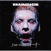 Der musikalische text DU HAST von RAMMSTEIN ist auch in dem Album vorhanden Sehnsucht (1997)