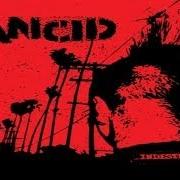 Der musikalische text START NOW von RANCID ist auch in dem Album vorhanden Indestructible (2003)