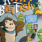 Der musikalische text WHY DO ALL GIRLS THINK THEY'RE FAT von REEL BIG FISH ist auch in dem Album vorhanden Monkeys for nothin' and the chimps for free (2007)