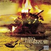 Der musikalische text SAY GOOD BYE von REEL BIG FISH ist auch in dem Album vorhanden We're not happy 'til you're not happy (2005)