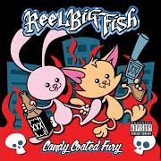 Der musikalische text DON'T LET ME DOWN GENTLY von REEL BIG FISH ist auch in dem Album vorhanden Candy coated fury (2012)