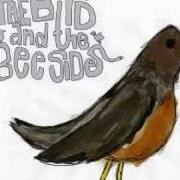 Der musikalische text THERE WAS NO THIEF von RELIENT K ist auch in dem Album vorhanden The bird and the bee sides (2008)