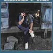 Der musikalische text NASHVILLE JAM von RINGO STARR ist auch in dem Album vorhanden Beaucoups of blues (1970)