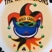 Der musikalische text WILD CARD von RIPPINGTONS ist auch in dem Album vorhanden Wild card (2005)
