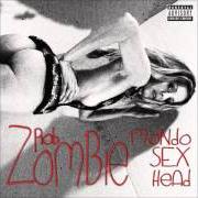 Der musikalische text NEVER GONNA STOP von ROB ZOMBIE ist auch in dem Album vorhanden Mondo sex head (2012)