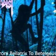 Der musikalische text FROM BELLATRIX TO BETELGEUSE von SADIST ist auch in dem Album vorhanden Tribe (1996)