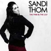 Der musikalische text SHAPE I'M IN von SANDI THOM ist auch in dem Album vorhanden The pink & the lily (2008)