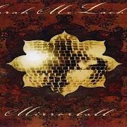 Der musikalische text DO WHAT YOU HAVE TO DO von SARAH MCLACHLAN ist auch in dem Album vorhanden Mirrorball (1999)