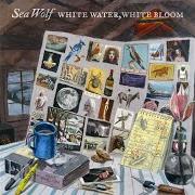 Der musikalische text SPIRIT HORSE von SEA WOLF ist auch in dem Album vorhanden White water, white bloom