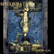 Der musikalische text WE WHO ARE NOT AS OTHERS von SEPULTURA ist auch in dem Album vorhanden Chaos a.D. (1993)