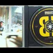 Der musikalische text ISLAND LOVER von SHAGGY ist auch in dem Album vorhanden Boombastic (1995)