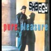 Der musikalische text FOLLOW ME von SHAGGY ist auch in dem Album vorhanden Pure pleasure (1993)