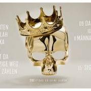 Der musikalische text DER EINZIGE WEG von SIDO ist auch in dem Album vorhanden Das goldene album (2016)