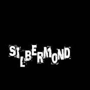 Der musikalische text DU UND ICH von SILBERMOND ist auch in dem Album vorhanden Verschwende deine zeit (2004)