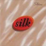 Der musikalische text UNTITLED von SILK ist auch in dem Album vorhanden Silktime (2003)