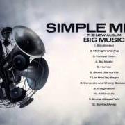 Der musikalische text WATERFRONT von SIMPLE MINDS ist auch in dem Album vorhanden The best of simple minds (2003)