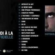 Der musikalische text NOTRE FRANCE À NOUS von SINIK ist auch in dem Album vorhanden Le toit du monde (2007)