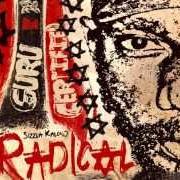 Der musikalische text HARDCORE von SIZZLA ist auch in dem Album vorhanden Radical (2014)
