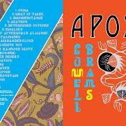 Der musikalische text CLIMB THAT MOUNTAIN von SUFJAN STEVENS ist auch in dem Album vorhanden Aporia (2020)