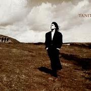 Der musikalische text I LOVE YOU von TANITA TIKARAM ist auch in dem Album vorhanden Ancient heart