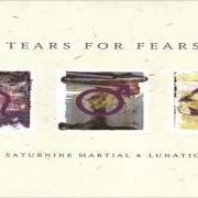 Der musikalische text JOHNNY PANIC AND THE BIBLE OF DREAMS von TEARS FOR FEARS ist auch in dem Album vorhanden Saturnine martial and lunatic (1996)