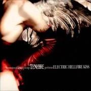 Der musikalische text SHE DARKS THE SUN von TENEBRE ist auch in dem Album vorhanden Electric hellfire kiss (2002)
