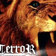 Der musikalische text ARMS OF THE TRUTH von TERROR ist auch in dem Album vorhanden Rhythm amongst the chaos (ep)