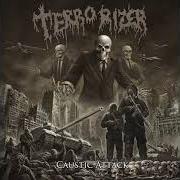 Der musikalische text TERROR CYCLES von TERRORIZER ist auch in dem Album vorhanden Caustic attack (2018)