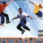 Der musikalische text LL COOL J SKIT von THA ALKAHOLIKS ist auch in dem Album vorhanden Likwidation (1997)