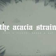 Der musikalische text SOLACE AND SERENITY von THE ACACIA STRAIN ist auch in dem Album vorhanden Slow decay (2020)