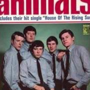 Der musikalische text SHAKE von THE ANIMALS ist auch in dem Album vorhanden Animalism [usa] (1966)