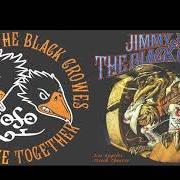 Der musikalische text SHAPES OF THINGS von THE BLACK CROWES ist auch in dem Album vorhanden Live at the greek (2000)