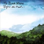 Der musikalische text THE LAST PLACE THAT LOVES LIVES von THE BLACK CROWES ist auch in dem Album vorhanden Before the frost...Until the freeze (2009)