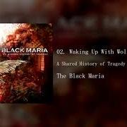Der musikalische text NOTHING COMES EASY BUT YOU von BLACK MARIA ist auch in dem Album vorhanden A shared history in tragedy (2006)
