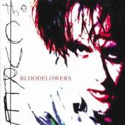 Der musikalische text THE LAST DAY OF SUMMER von THE CURE ist auch in dem Album vorhanden Bloodflowers (2000)