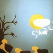 Der musikalische text TUNE OUT von THE FORMAT ist auch in dem Album vorhanden Snails (2005)