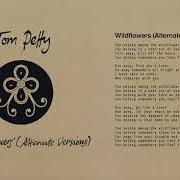 Der musikalische text IT'S GOOD TO BE KING (ALTERNATE VERSION) von TOM PETTY ist auch in dem Album vorhanden Finding wildflowers (alternate versions) (2021)