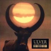Der musikalische text WHAT HAPPENED? von ULVER ist auch in dem Album vorhanden Shadows of the sun