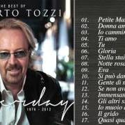 Der musikalische text SE NON AVESSI TE von UMBERTO TOZZI ist auch in dem Album vorhanden Le mie canzoni (1991)