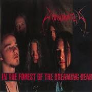 Der musikalische text SILENCE ENDS von UNANIMATED ist auch in dem Album vorhanden In the forest of the dreaming dead (1992)