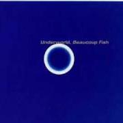 Der musikalische text SHUDDER / KING OF SNAKE von UNDERWORLD ist auch in dem Album vorhanden Beaucoup fish (1999)