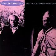 Der musikalische text IN THE GARDEN von VAN MORRISON ist auch in dem Album vorhanden No guru, no method, no teacher (1986)