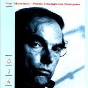 Der musikalische text SPANISH STEPS von VAN MORRISON ist auch in dem Album vorhanden Poetic champions compose (1987)