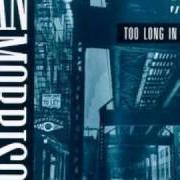 Der musikalische text BIGTIME OPERATORS von VAN MORRISON ist auch in dem Album vorhanden Too long in exile (1993)