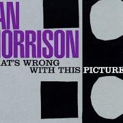 Der musikalische text GOLDFISH BOWL von VAN MORRISON ist auch in dem Album vorhanden What's wrong with this picture? (2003)