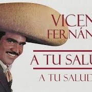 Der musikalische text TU SALUD von VICENTE FERNANDEZ ist auch in dem Album vorhanden A tu salud (1976)